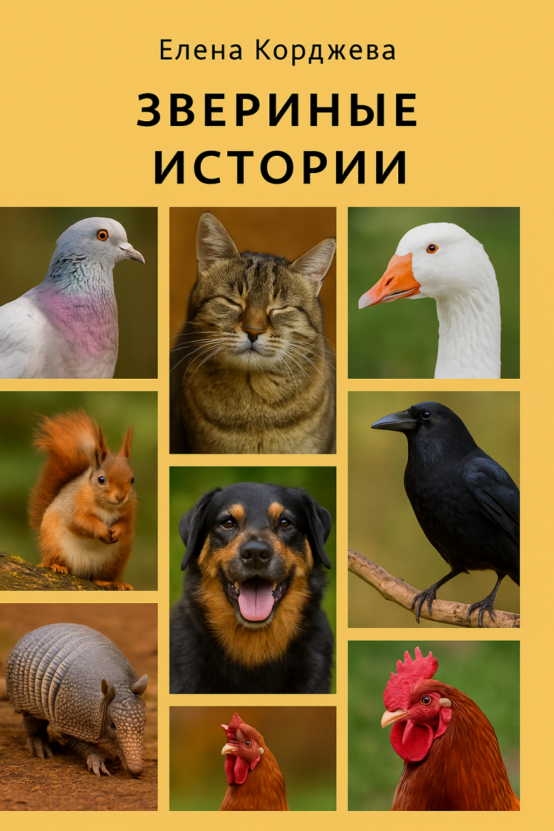 Звериные истории